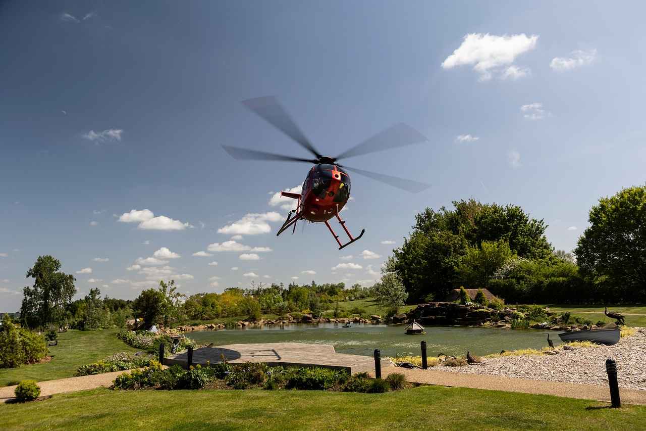 En İyi Sebze Doğrayıcılar: Vejeteryanlar ve Veganlar için 1 1. Sebze Doğrayıcı Nedir?