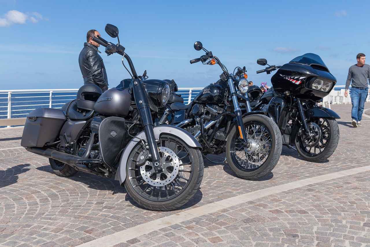 Sebze Doğrayıcılar Nasıl Çalışır? Başlangıçlar için Basit Bir Kılavuz 1 Sebze Doğrayıcı Nedir?