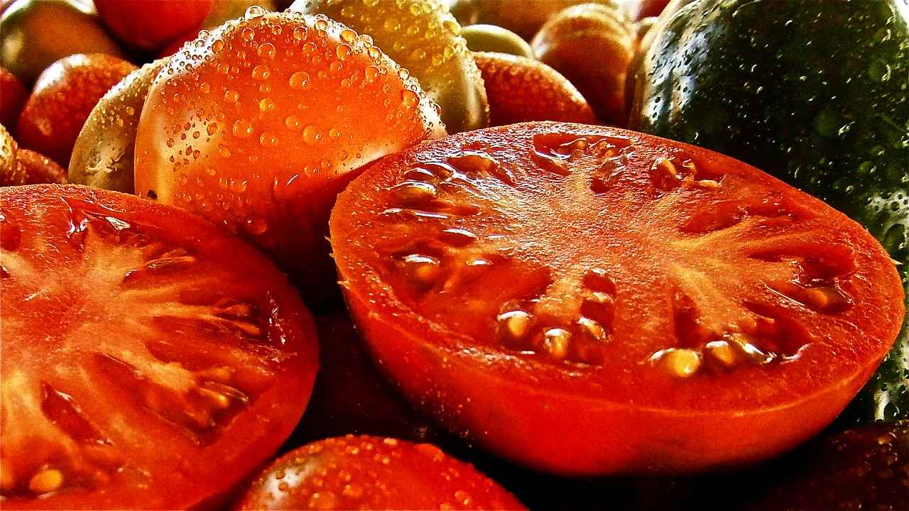 [Kullanıcı Yorumları ve Değerlendirmeleri]