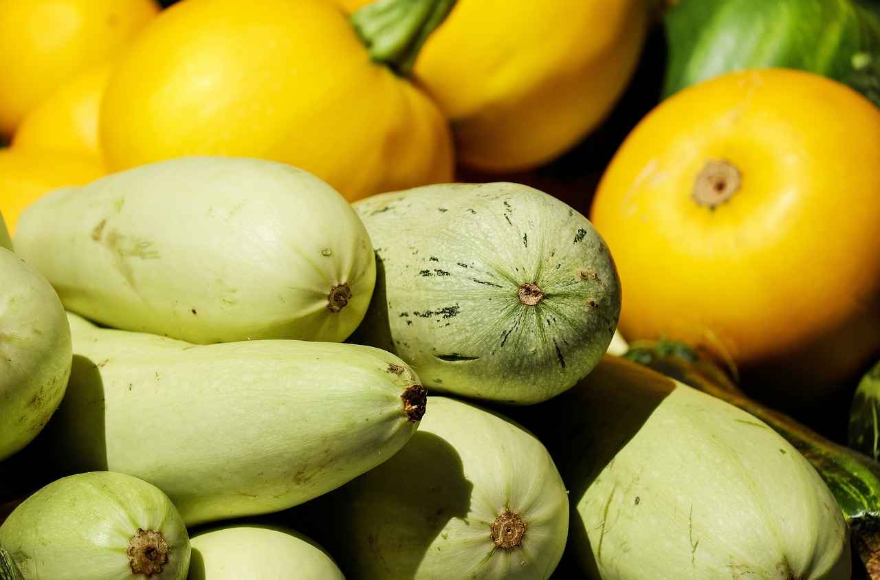 1. Sebze Doğrayıcı Nedir?