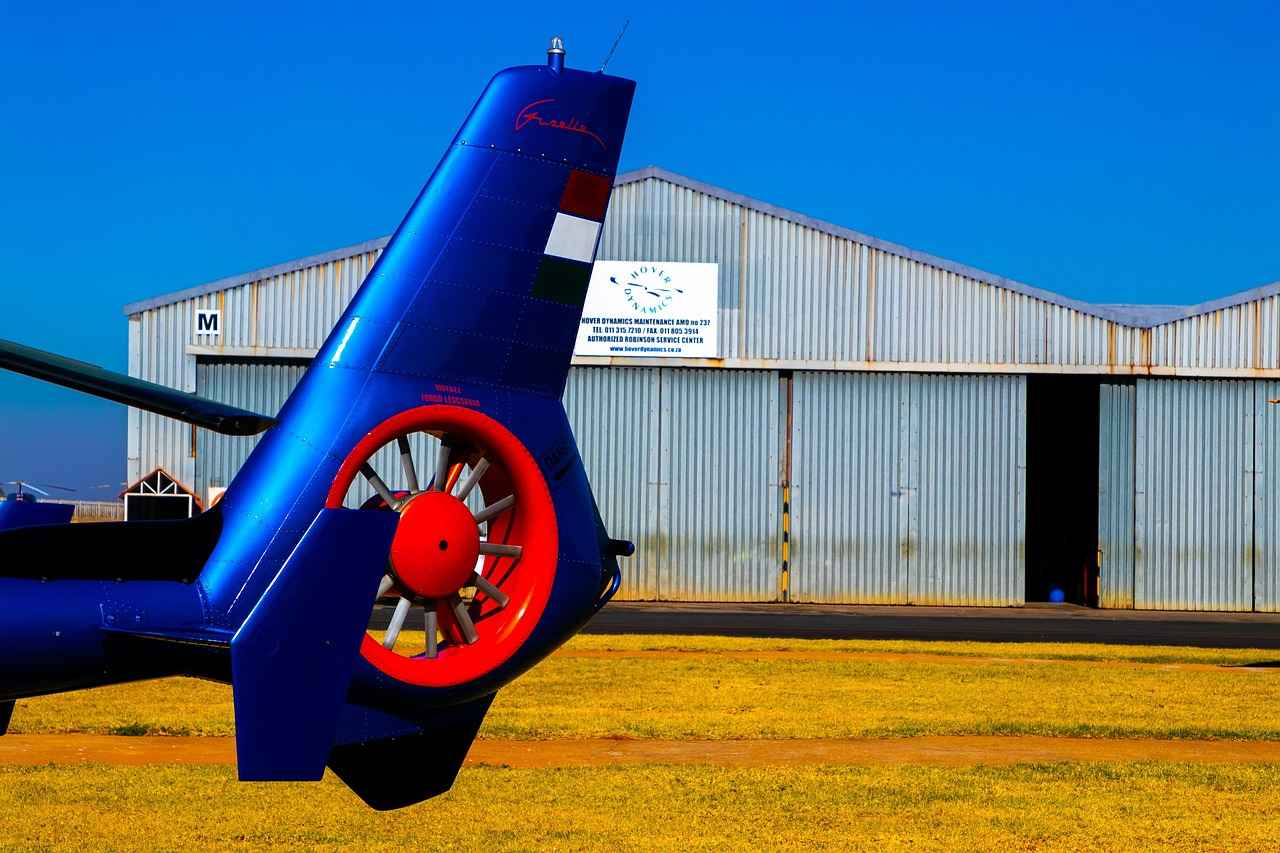 1. Sebze Doğrayıcı Nedir?