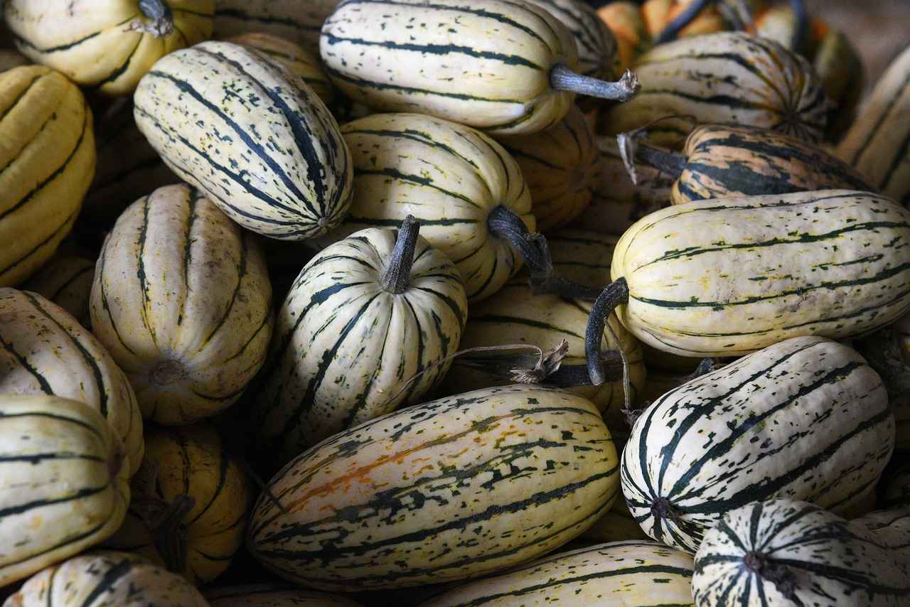 Sebze Doğrayıcı Alırken Dikkat Edilmesi Gerekenler 8 8. Sonuç