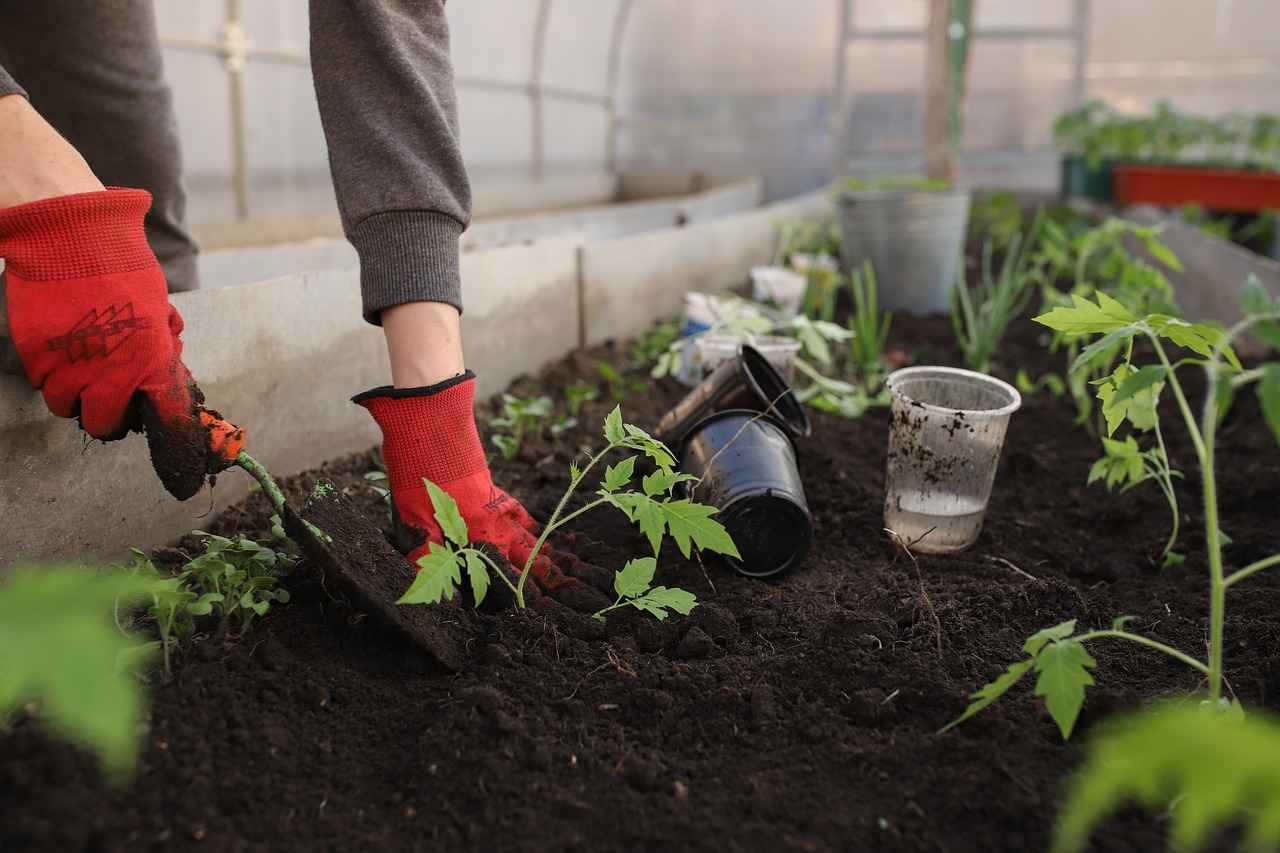 5. Sebze Doğrayıcı Kullanım İpuçları