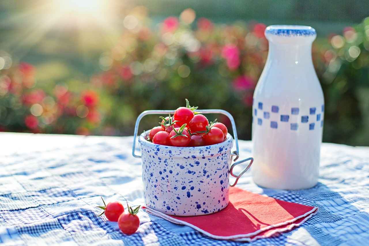 Sebze Doğrayıcı Kullanım İpuçları