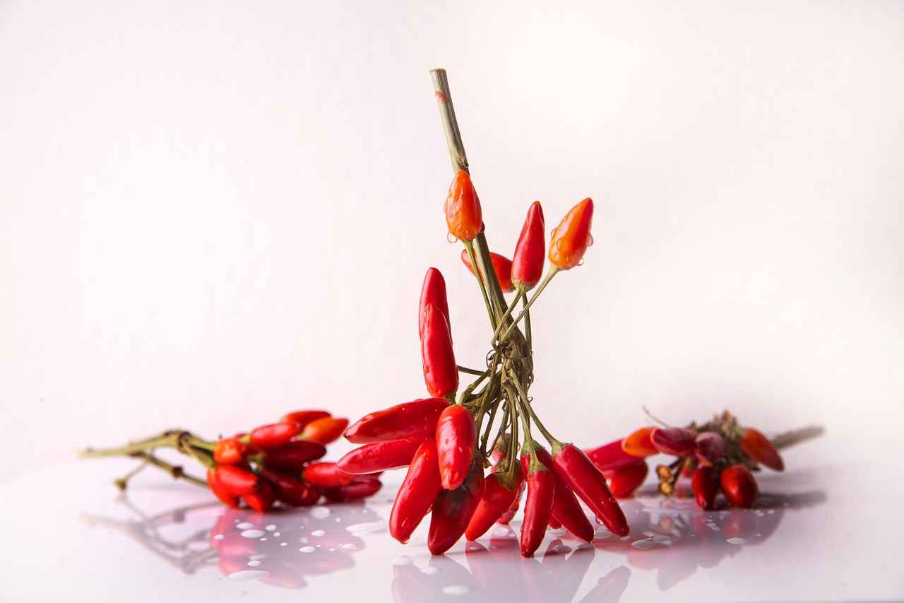 Fiyat Aralığı